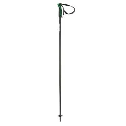 Head Frontside Performance Poles -Patagonia Store 381162 frontside gn anth anth gn 1 dl