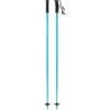 Atomic AMT SQS Ski Poles