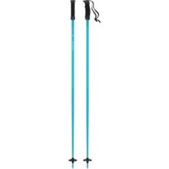 Atomic AMT SQS Ski Poles