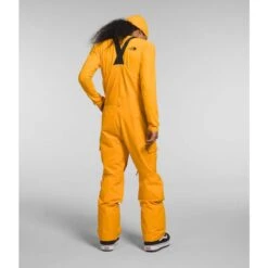 The North Face Men's Freedom Bib Pant -Patagonia Store fw2324 tnf mensfreedombib summitgold 2