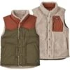 Patagonia Men's Reversible Bivy Down Vest