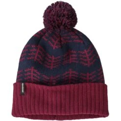 Patagonia Powder Town Beanie