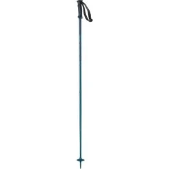 Salomon Arctic Ski Poles -Patagonia Store fw24 l40558800 1 gho arctic blue