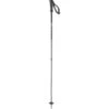 Salomon Arctic Ski Poles