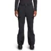 The North Face Men's Chakal Pant